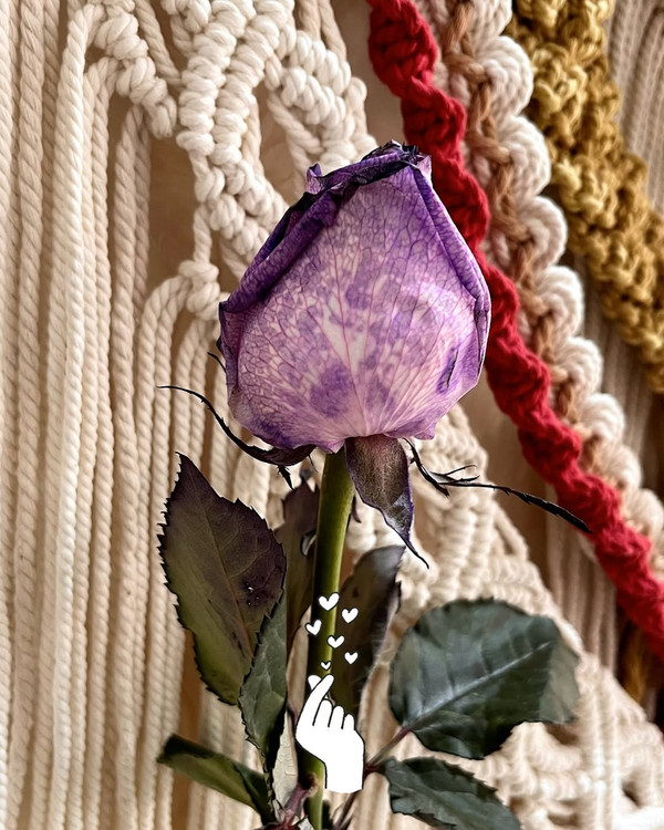 شلف مکرومه زیبا و رنگی